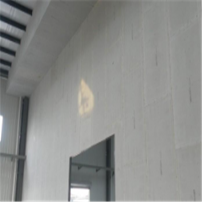 文山宁波ALC板|EPS加气板隔墙与混凝土整浇联接的实验研讨